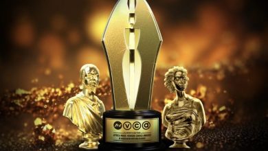 Full List Of AMVCA 2025 Winners: Freedom Way, Lisabi, And Seven Doors Lead Awards