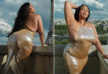 Lizzo Show Off Her Curves In Shiny Metallic Dress [Photos]