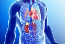 Why Kidney Disease Contributes To 12% Of Heart-Related Deaths