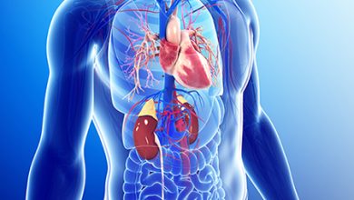 Why Kidney Disease Contributes To 12% Of Heart-Related Deaths